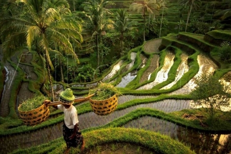 Отдых на Бали: нужна ли виза?
