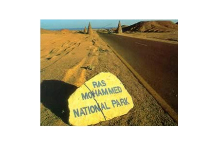 Национальный парк Рас-Мохаммед в Шарм-эль-Шейхе