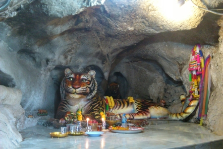 Храм тигра на Пхукете