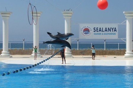 Дельфинарий «Sealania» в Алании