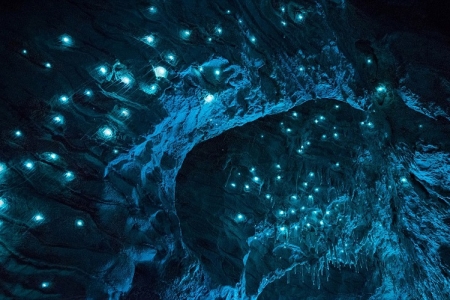 «Светящиеся пещеры» в Новой Зеландии теперь можно увидеть вживую